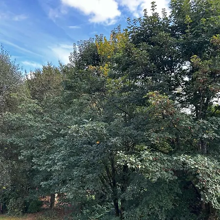 La Citadine 3* Neufchâteau