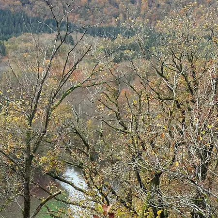 La Citadine Maison d'hôtes 3*