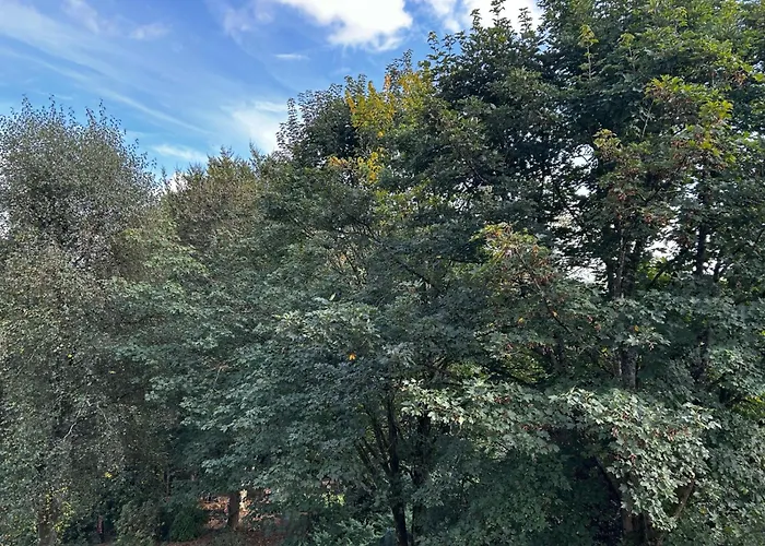 La Citadine 3* Neufchâteau