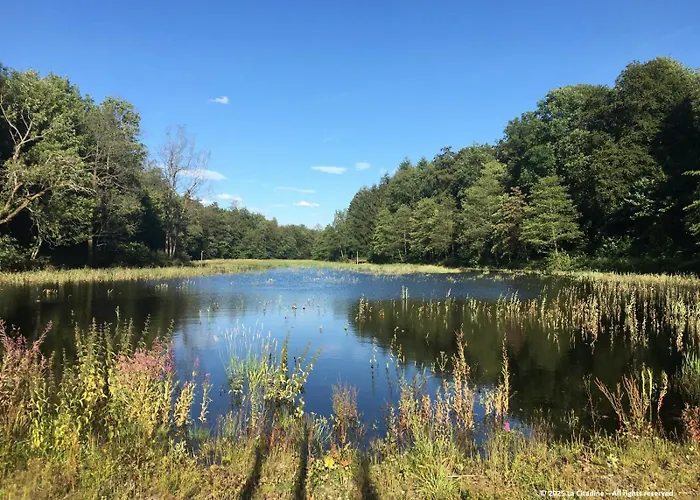Maison d'hôtes La Citadine 3*