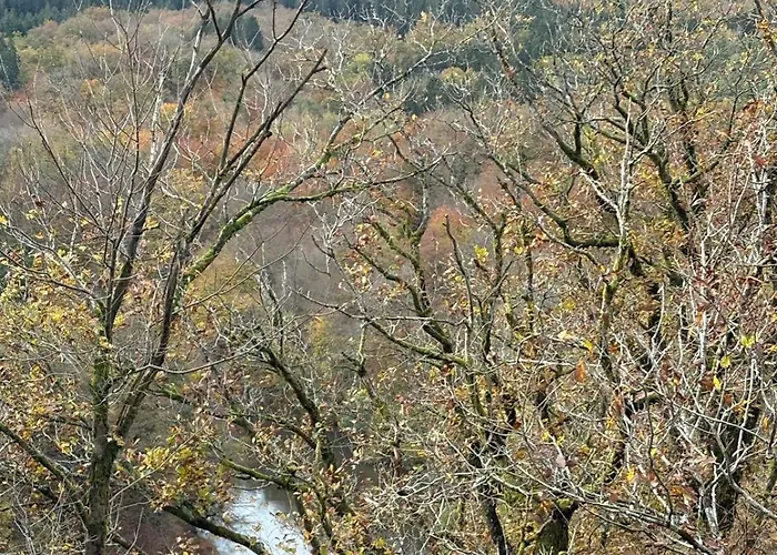 La Citadine Penzion 3*